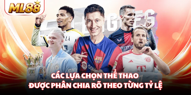 Các lựa chọn thể thao được phân chia rõ theo từng tỷ lệ