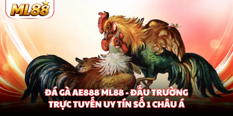 Đá Gà AE888 ML88 - Đấu Trường Trực Tuyến Uy Tín Số 1 Châu Á