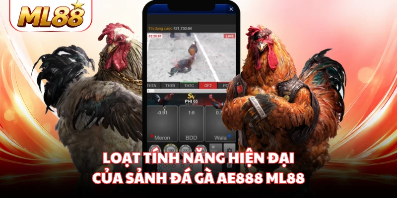 Loạt tính năng hiện đại của sảnh đá gà AE888 ML88